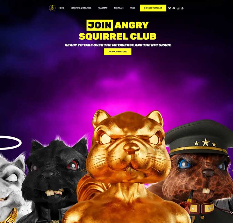 Angry Squirrel website